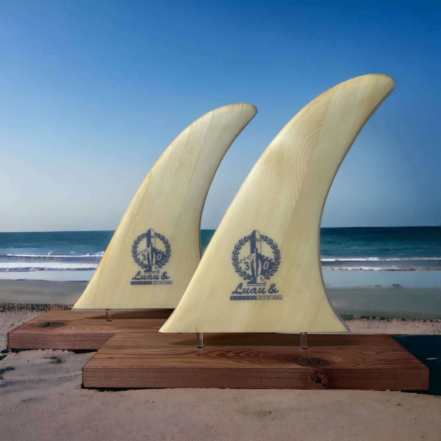 Moores Cancer Center UCSD Award Fins by Dennis Scott