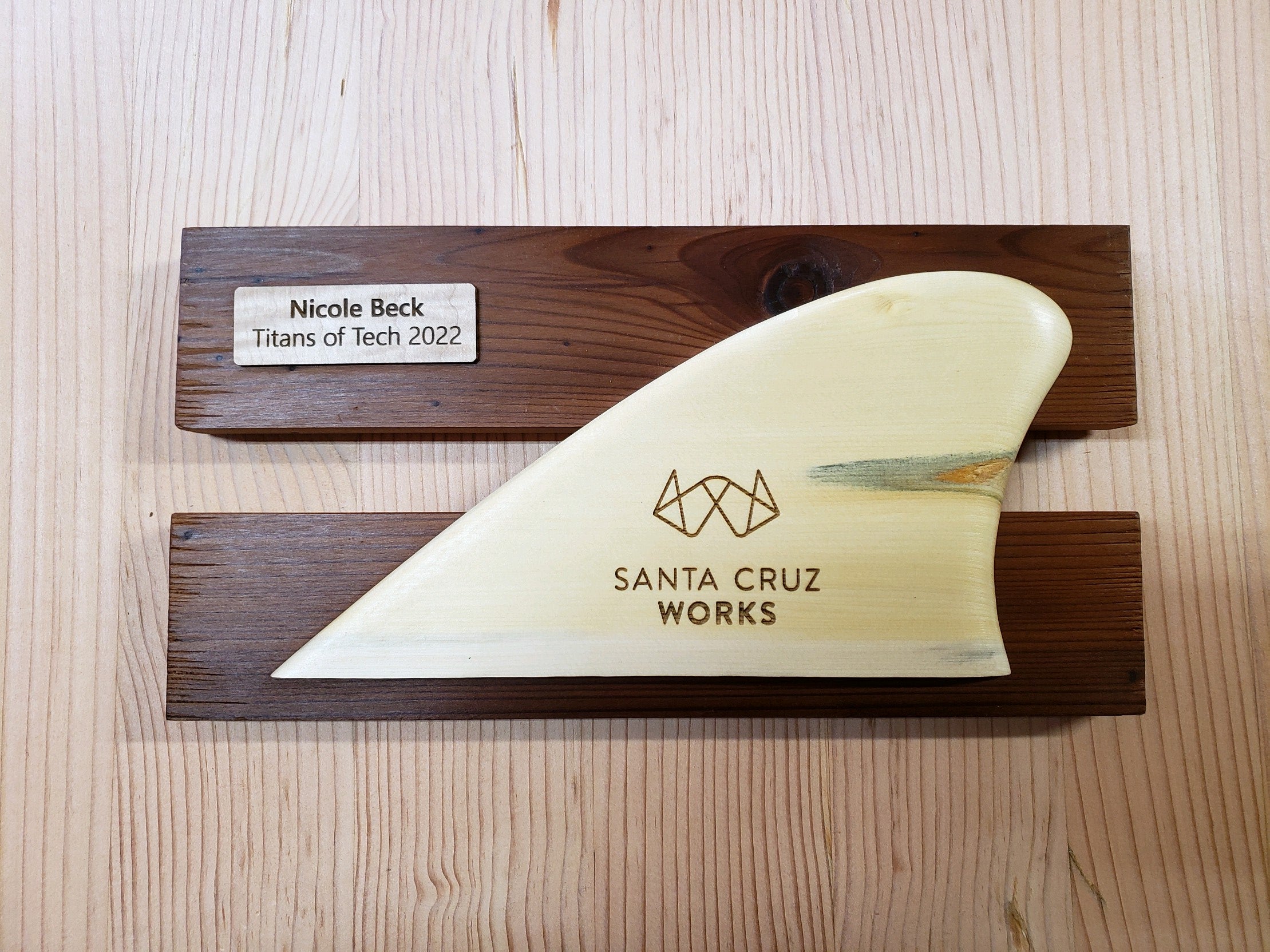 Fins - Santa Cruz Works Titans Of Tech 2022 Awards