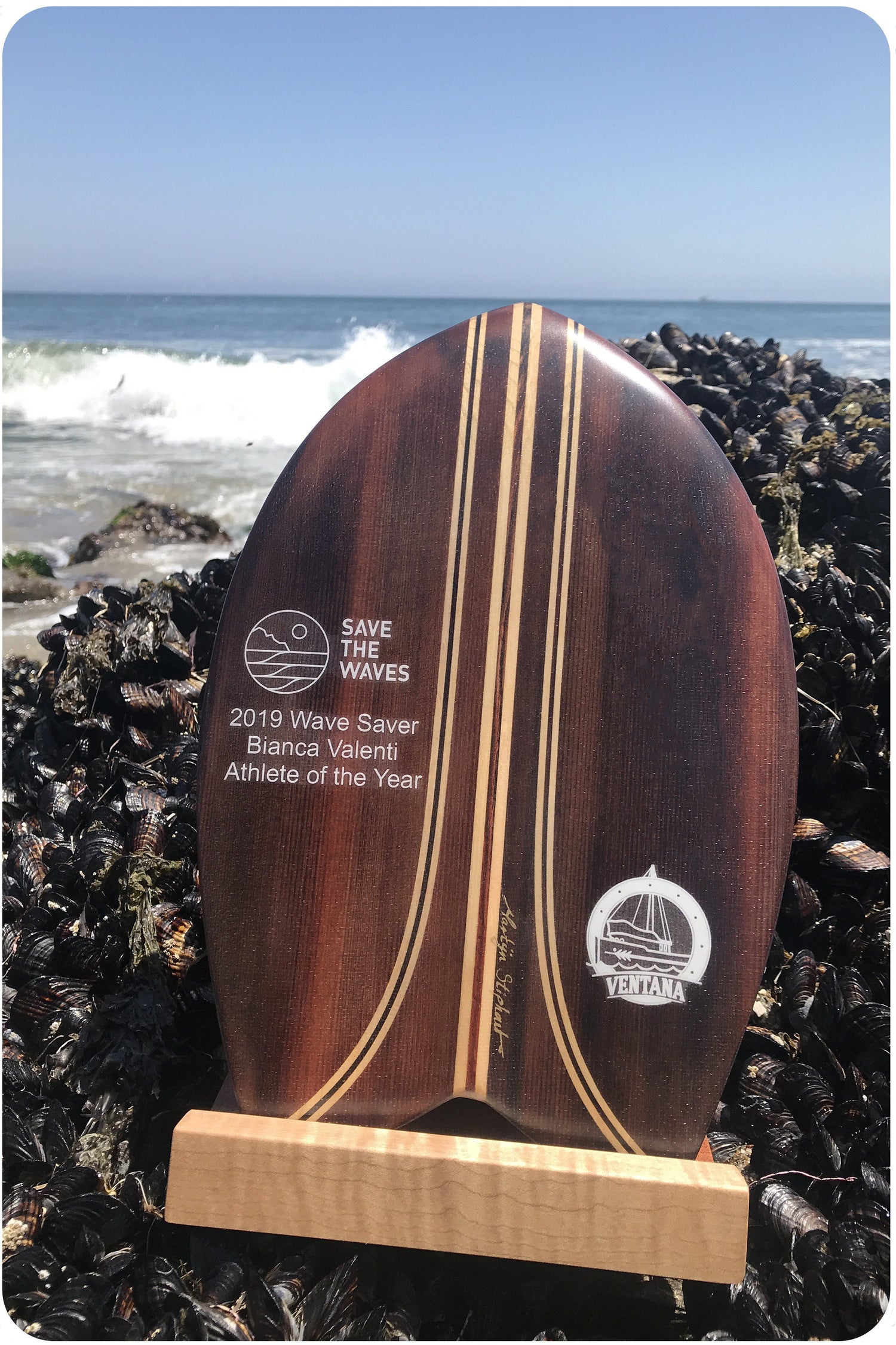 Handplane - Save The Waves "Wave Saver" Award Handplanes