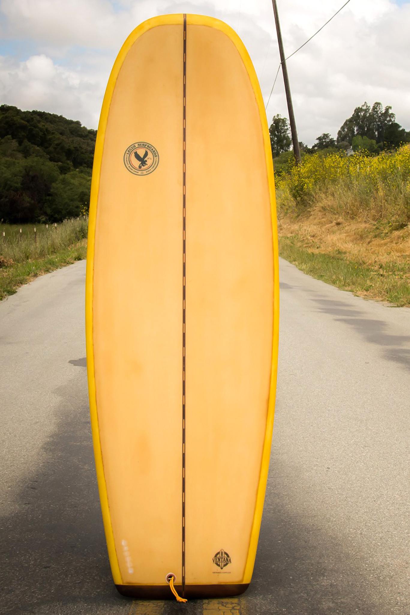 Locus Eco Surfboards - Monkey Wing 5&