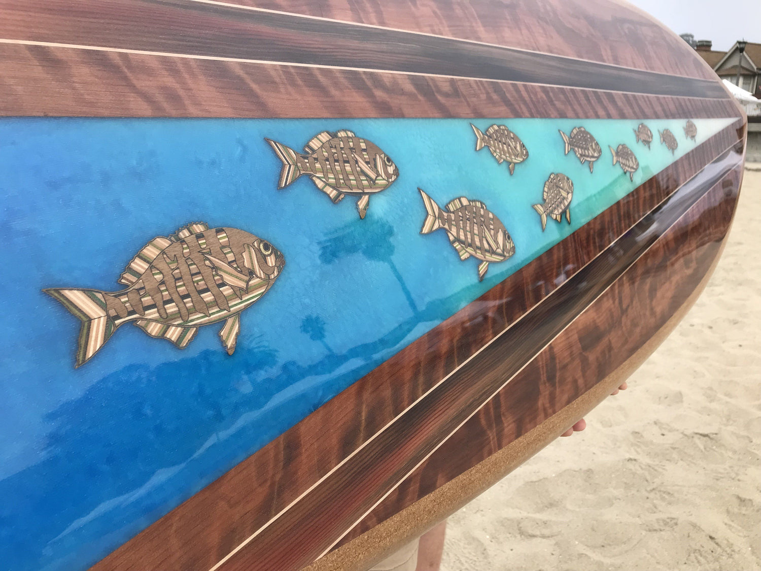 Surfboard - Barred Surfperch 5&