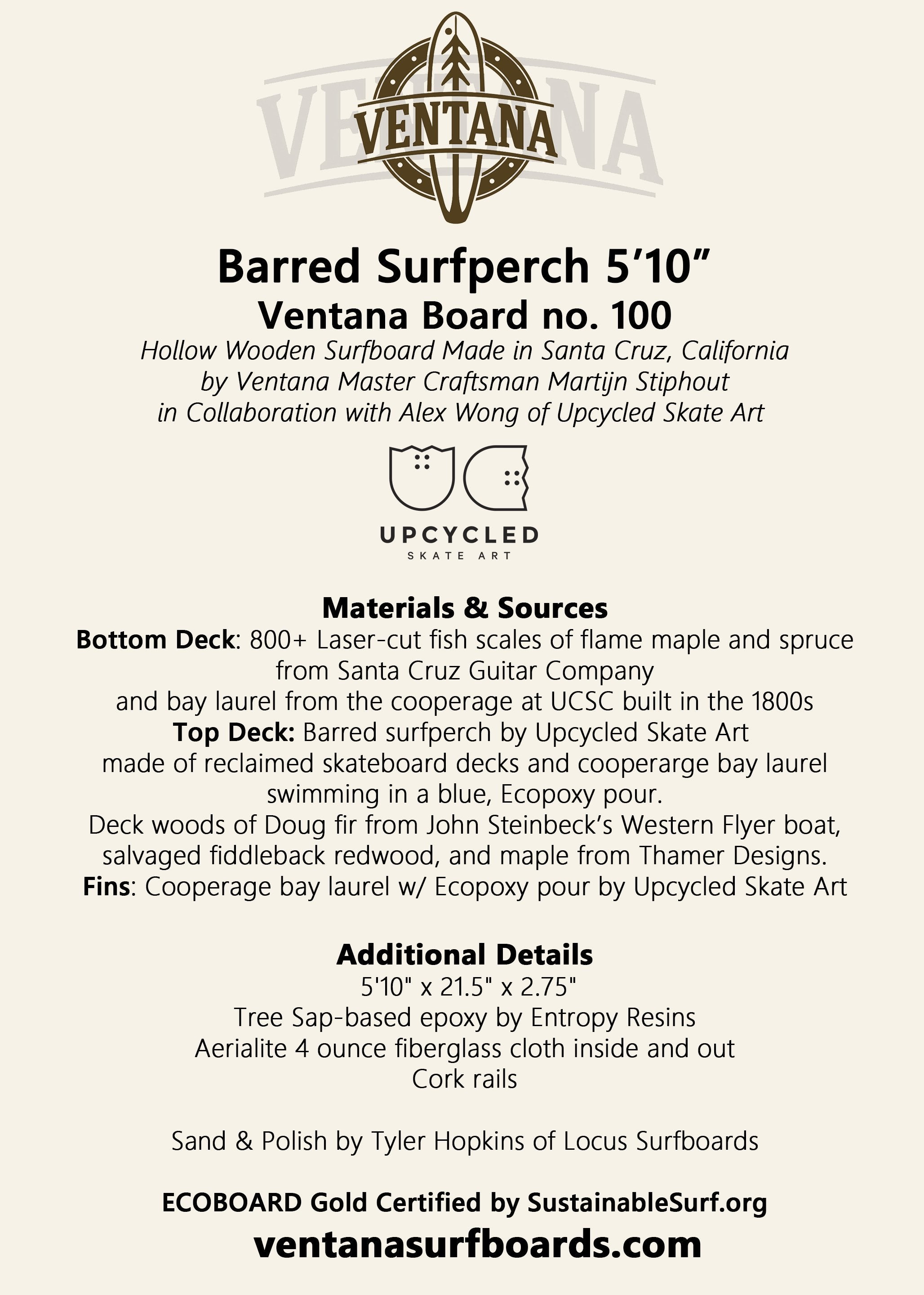 Surfboard - Barred Surfperch 5&