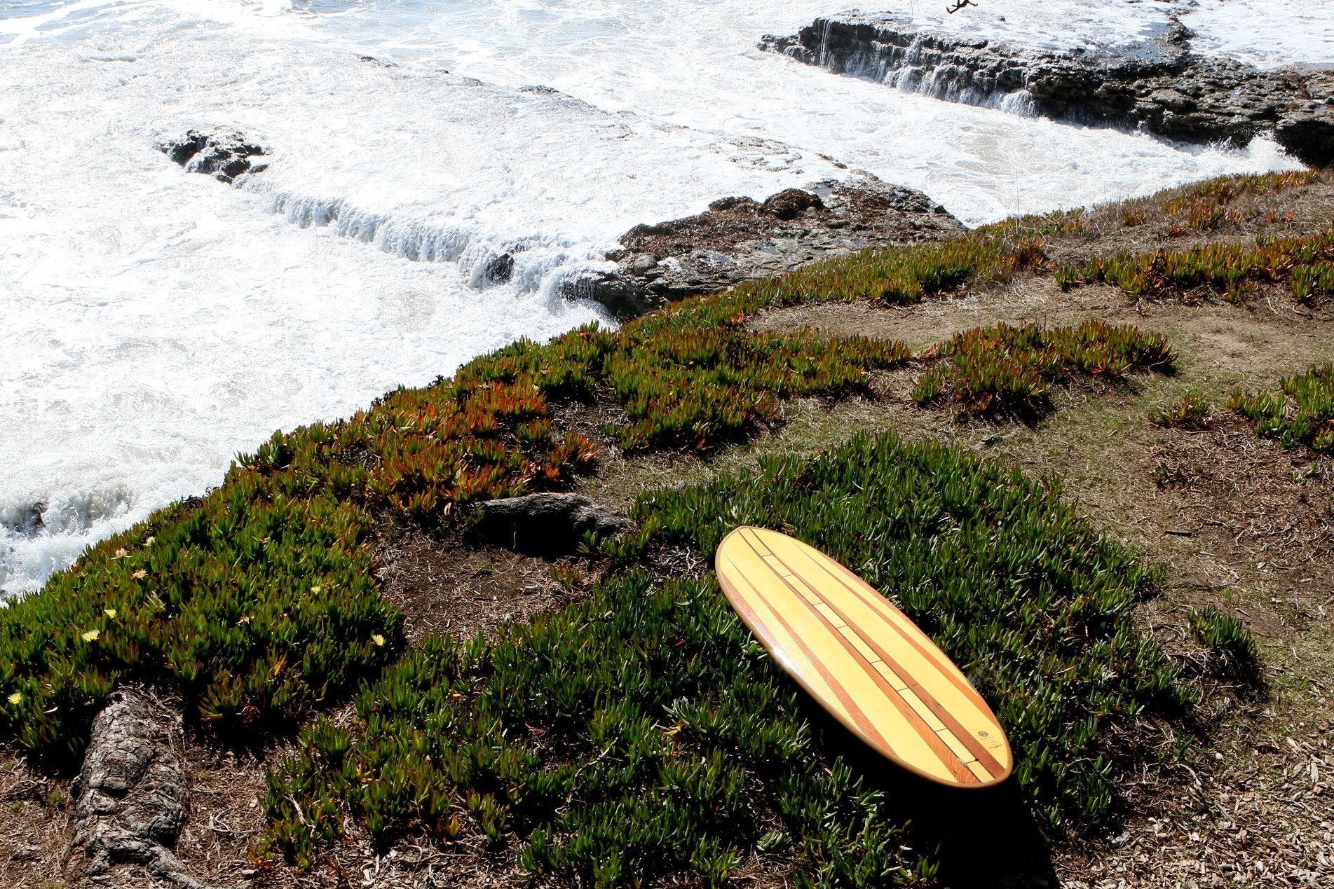 Surfboard - Cannery Row Cedar Hull 6&