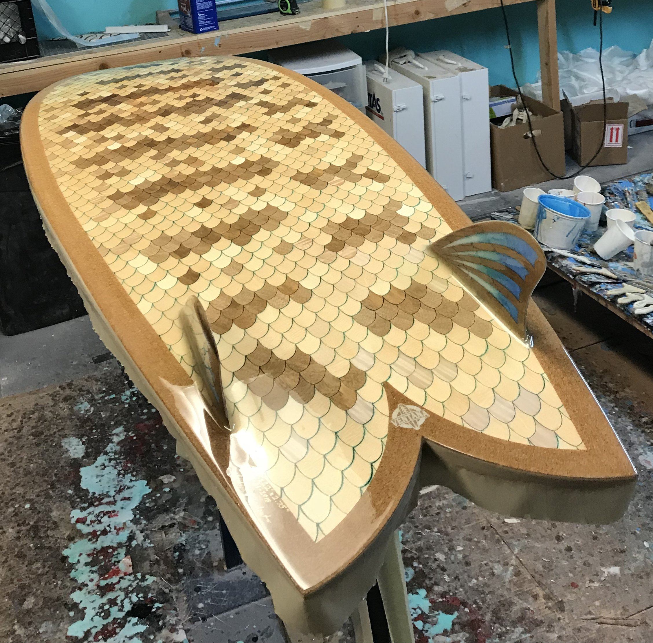 Surfboard - Barred Surfperch 5&